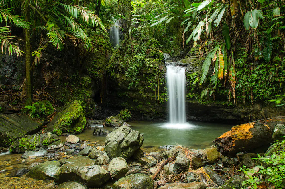 Descubre los 5 Destinos Turísticos Imperdibles en Puerto Rico